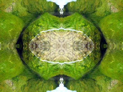 Wandbilder Poster - Wasser