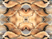 Dream Art Picture Poster Natur Palmen Wandbilder