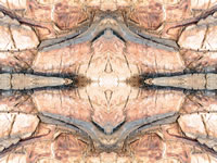 Dream Art Picture Poster Natur Palmen Wandbilder