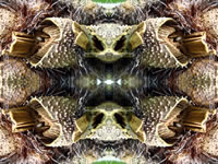 Dream Art Picture Poster Natur Palmen Wandbilder
