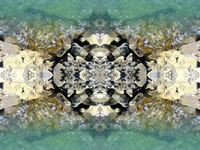 Dream Art Picture Poster Natur Steine Wasser Wandbilder
