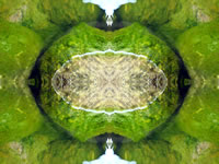 Dream Art Picture Poster Natur Steine Wasser Wandbilder