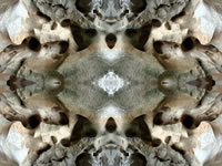 Dream Art Picture poster nature stone picture