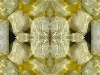 Dream Art Picture poster nature stones picture