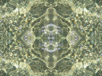 Dream Art Picture poster nature water picture